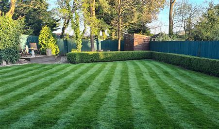 How To Care For Your Lawn